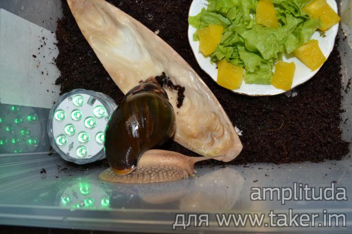 Лед лампа для подсветки аквариума с пультом