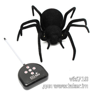Огромный волосатый черный паук на радиоуправлении