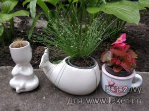 Керамические вазы-горшки под комнатные растения