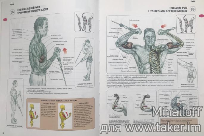 Анатомия силовых упражнений. Пожалуй, лучшая книга для тех, кто следит за своим телом. 154253375219409804350w.jpg