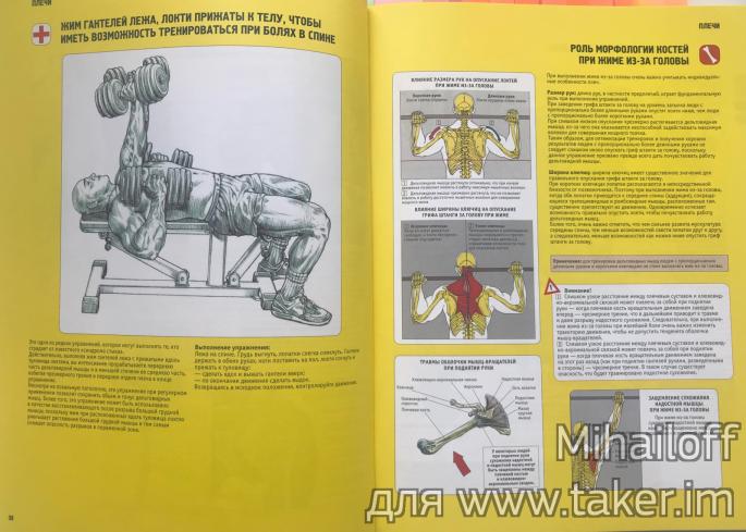Анатомия силовых упражнений. Пожалуй, лучшая книга для тех, кто следит за своим телом. 15425337551026344410w.jpg