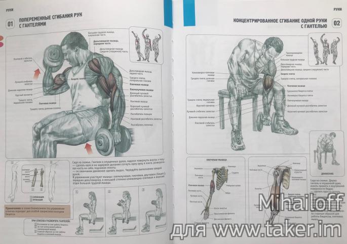 Анатомия силовых упражнений. Пожалуй, лучшая книга для тех, кто следит за своим телом. 154253375721350139450w.jpg